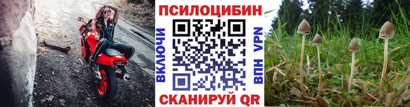 Галлюциногенные грибы Cubensis  продажа наркотиков  Вельск 